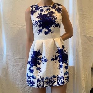 White and Blue Floral Cupcake Dress